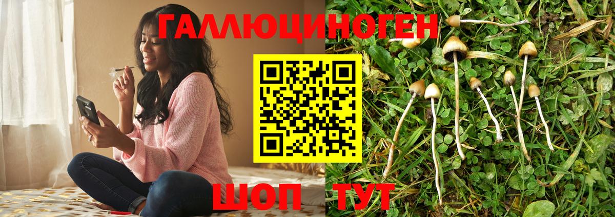 Псилоцибиновые грибы ЛСД  Вход с VPN  Нижневартовск  Псилоцибиновые грибы Cubensis 